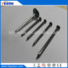 low price with prime quality galvanized low carbon steel common wire nails